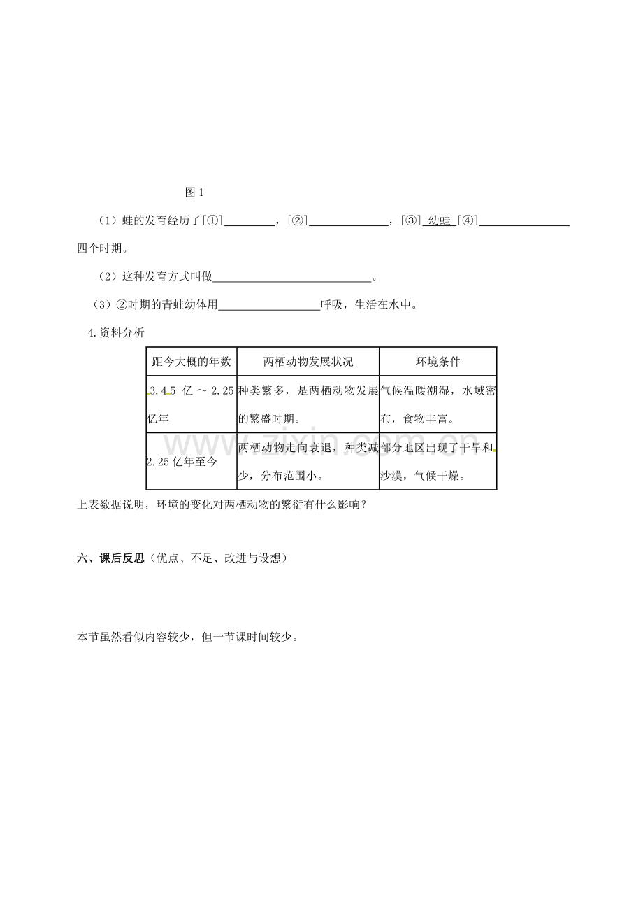 八年级生物下册 1.3 两栖动物的生殖和发育教案 新人教版-新人教版初中八年级下册生物教案.doc_第3页