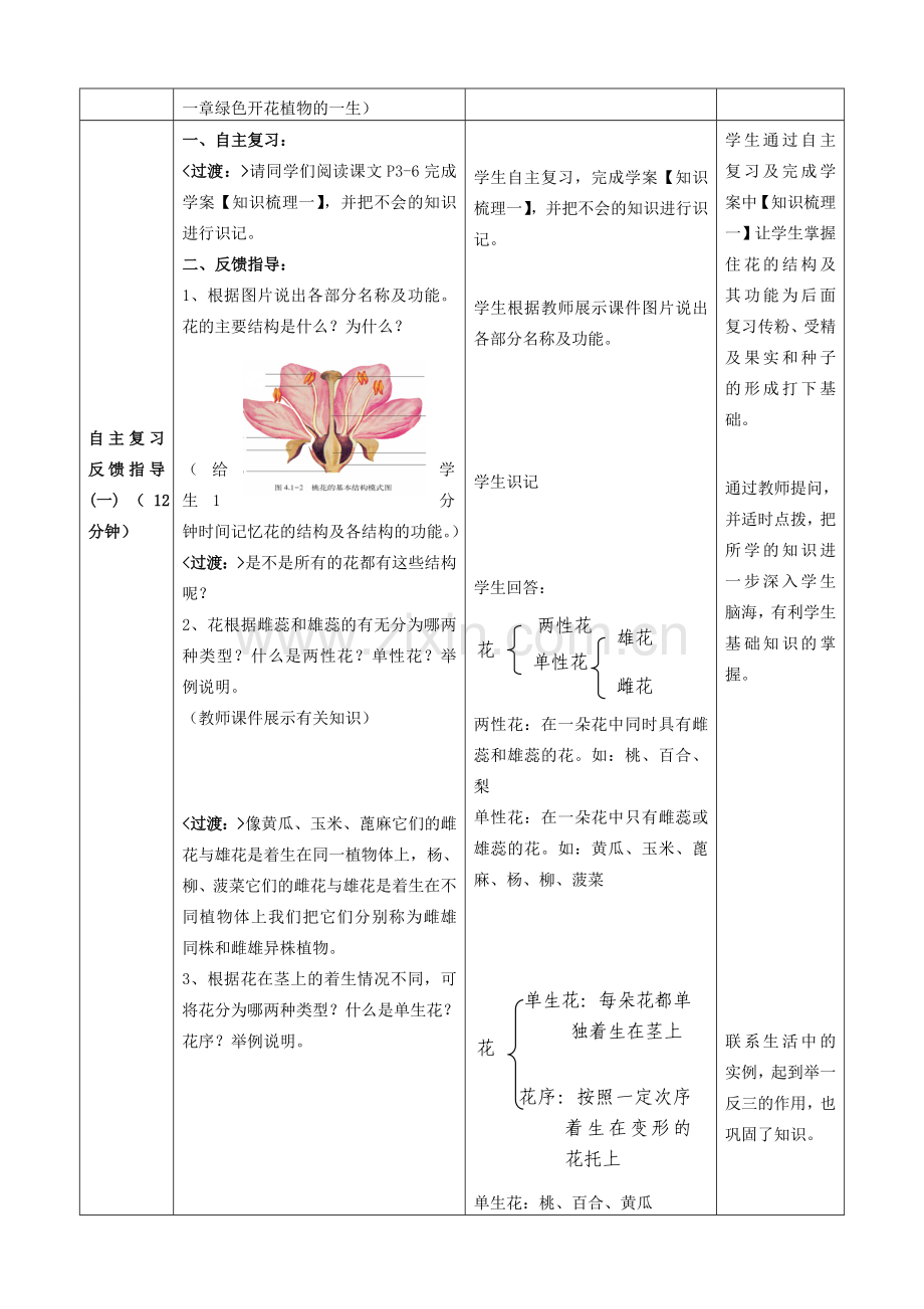 八年级生物上册 4.1 绿色开花植物的一生（1-3节）复习教案2 （新版）济南版.doc_第2页