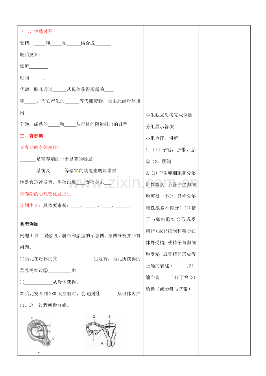 山东省郯城县第三初级中学九年级生物上册《人的由来》教案 新人教版.doc_第2页