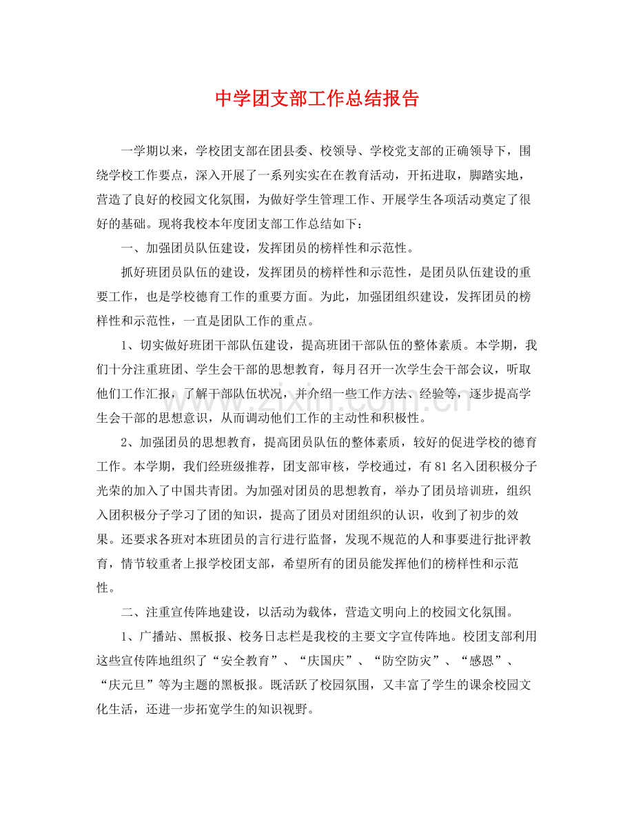 团支部工作总结报告 .docx_第1页