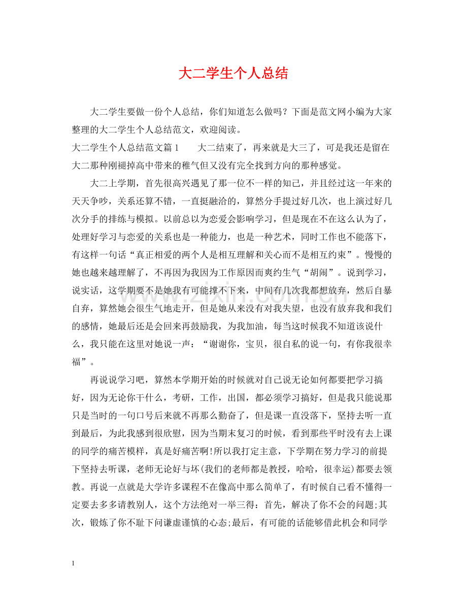 大二学生个人总结.docx_第1页