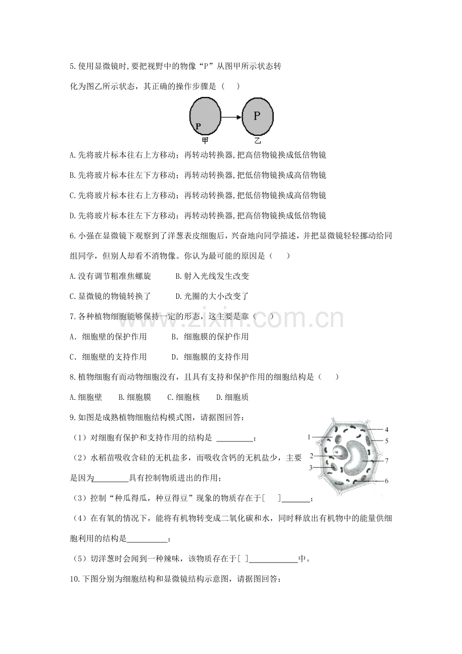 七年级数学上册第1单元第3章细胞是生命活动的基本单位复习教案北师大版.doc_第3页