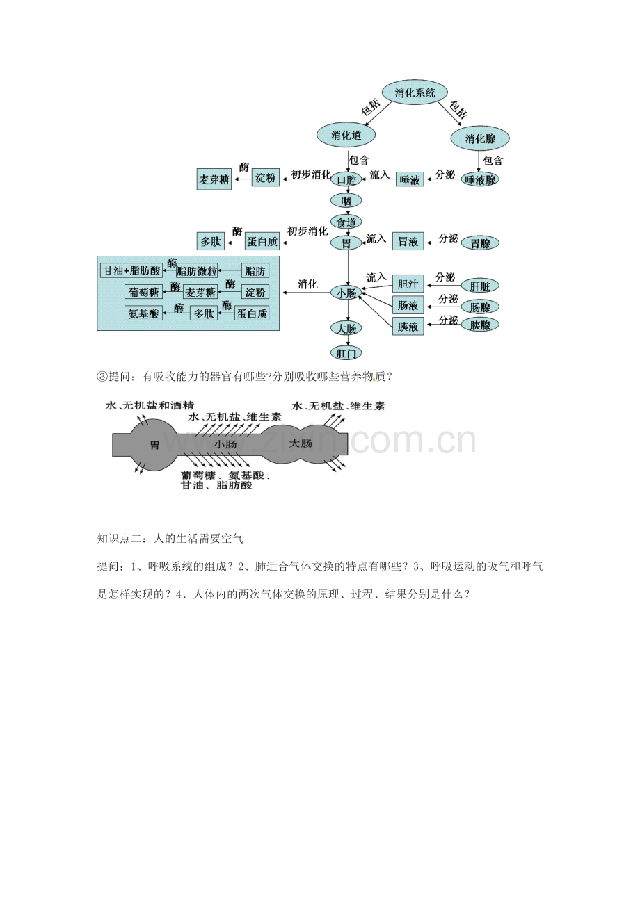 八年级生物下册 第4专题 生物圈中的人—新陈代谢复习教案2 济南版.doc_第3页