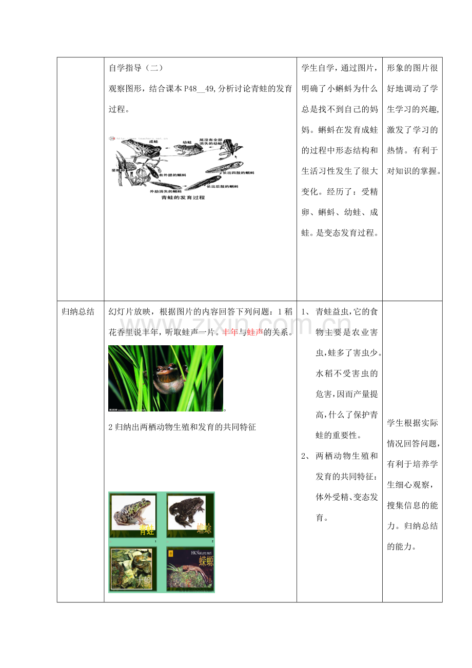 八年级生物上册 第二节 两栖动物的生殖和发育教案济南版.doc_第3页