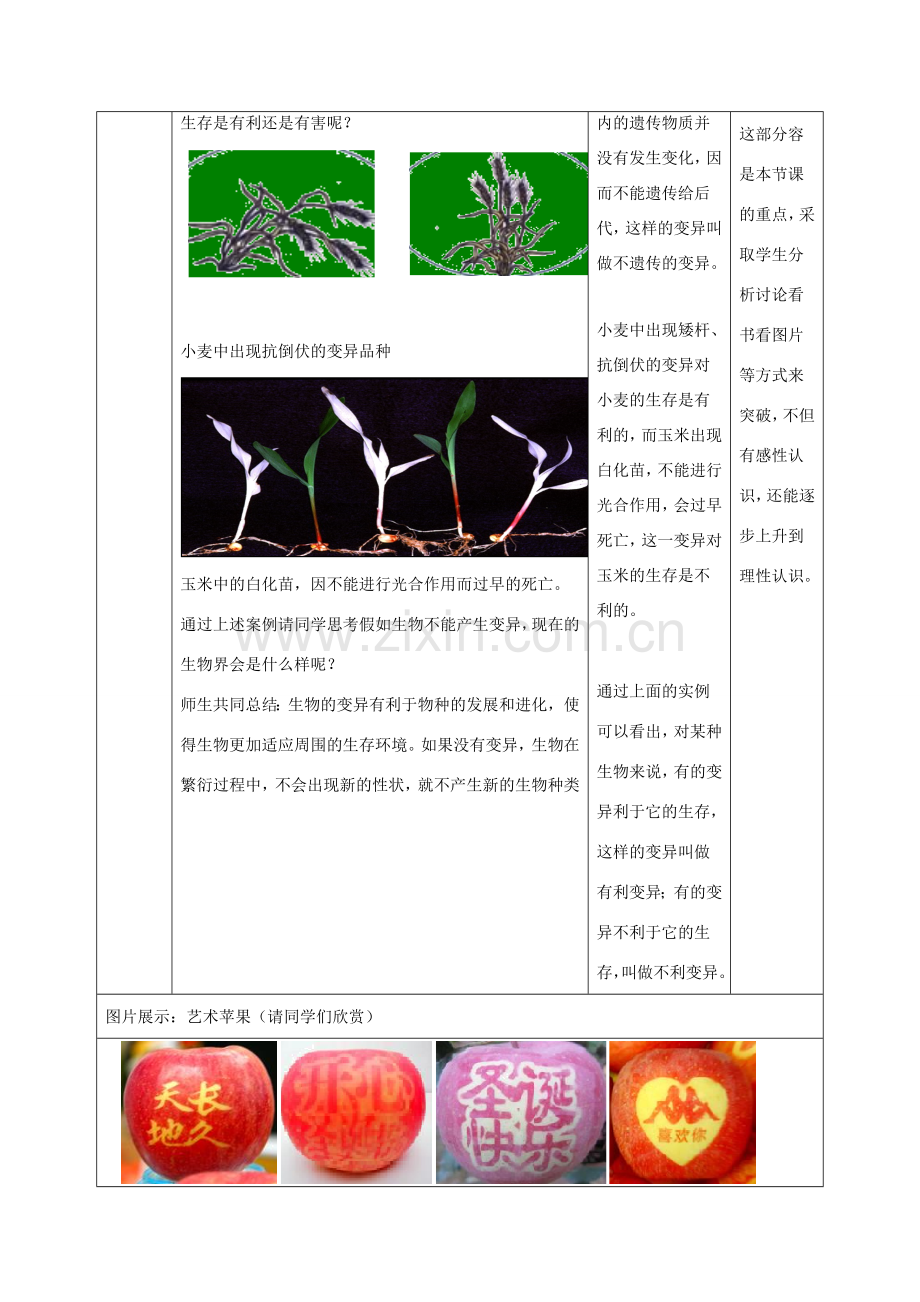 八年级生物上册 4.4.4《生物的变异》教案1 （新版）济南版-（新版）济南版初中八年级上册生物教案.doc_第3页