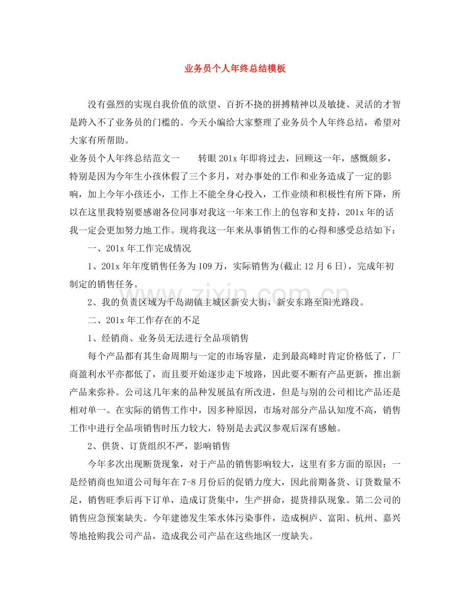 业务员个人年终总结模板.docx_第1页