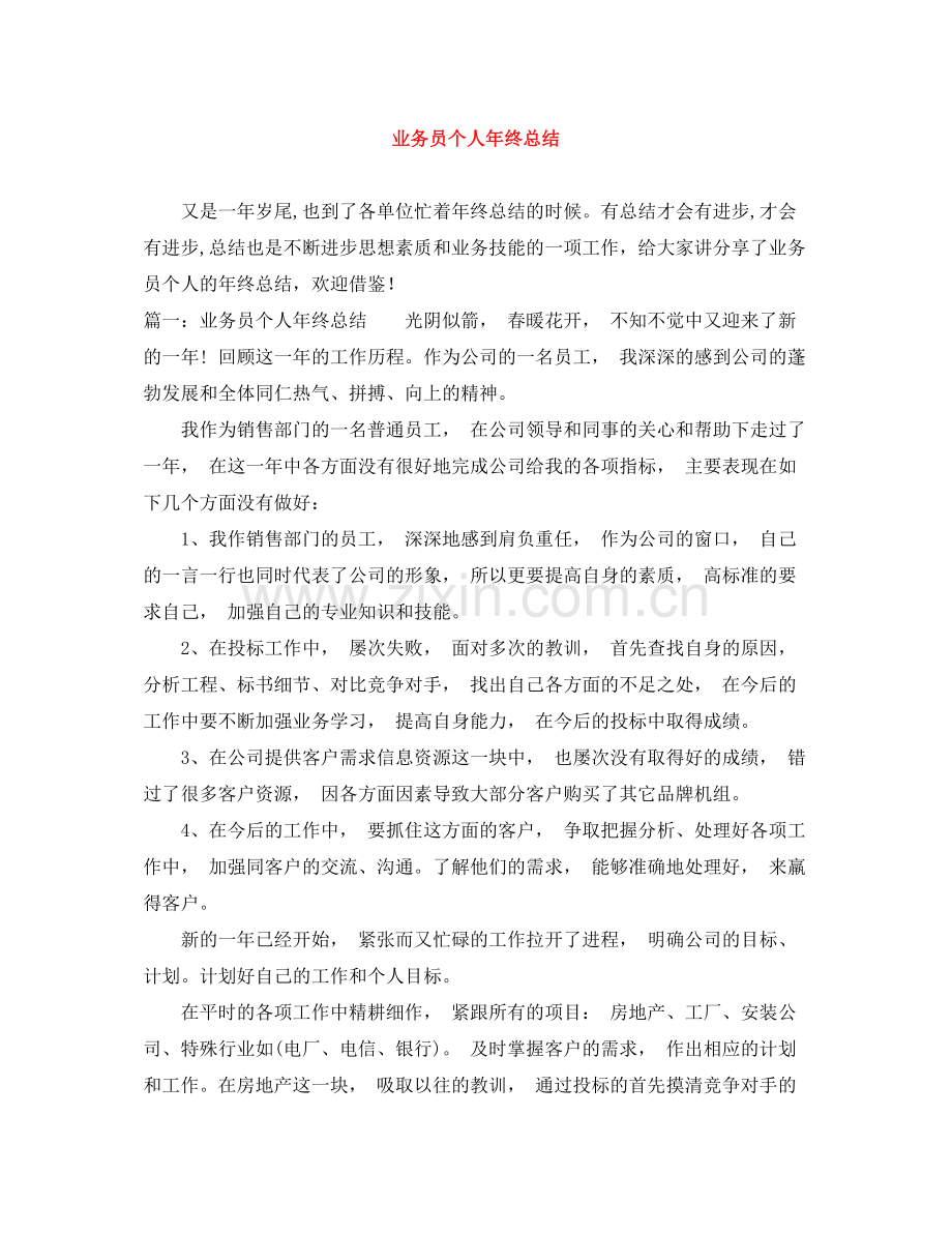 业务员个人年终总结.docx_第1页