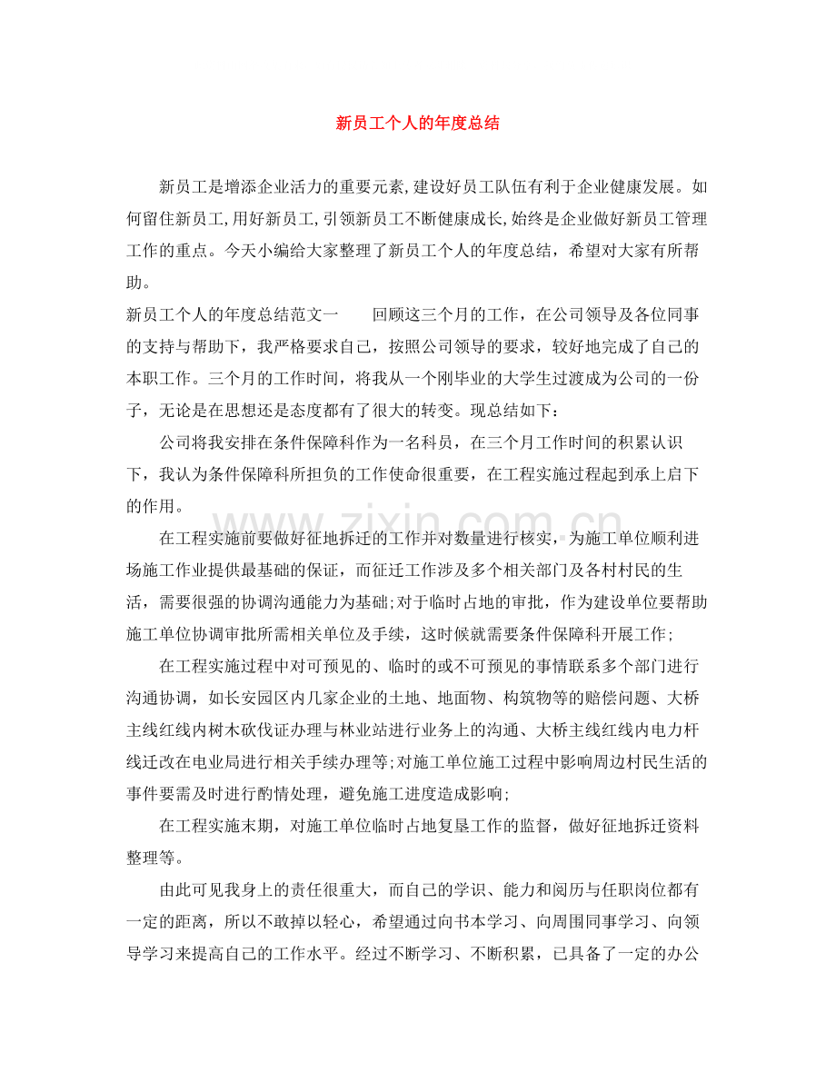 新员工个人的年度总结.docx_第1页