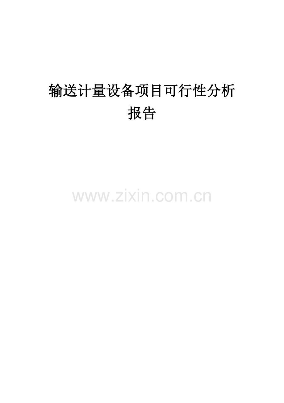 输送计量设备项目可行性分析报告.docx_第1页