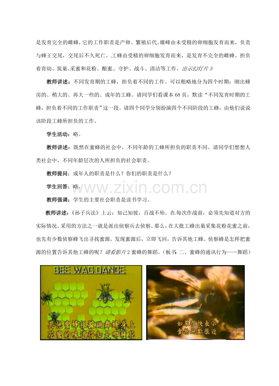 八年级生物上册 第16章 动物的行为教学设计 北师大版-北师大版初中八年级上册生物教案.doc_第3页