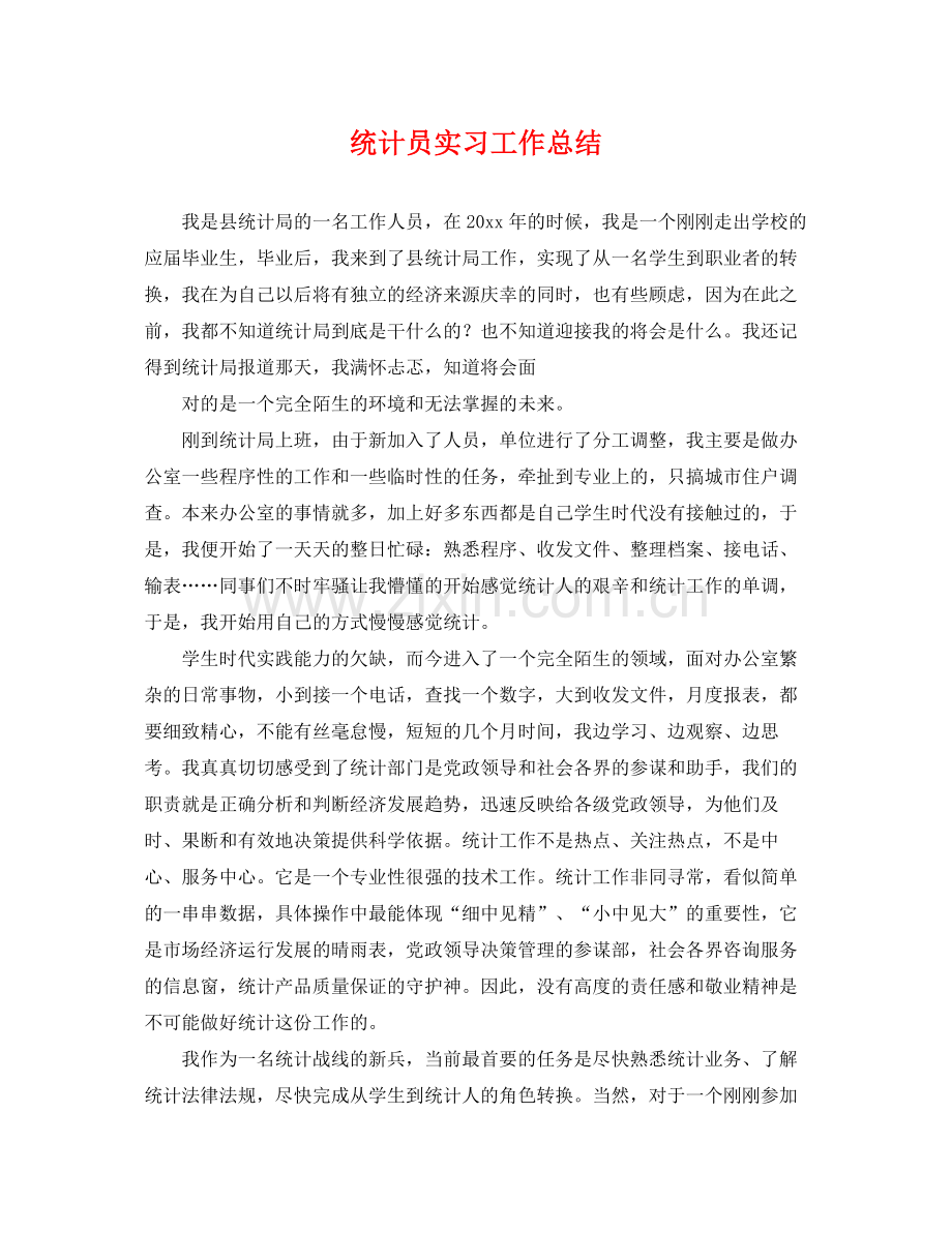 统计员实习工作总结 .docx_第1页