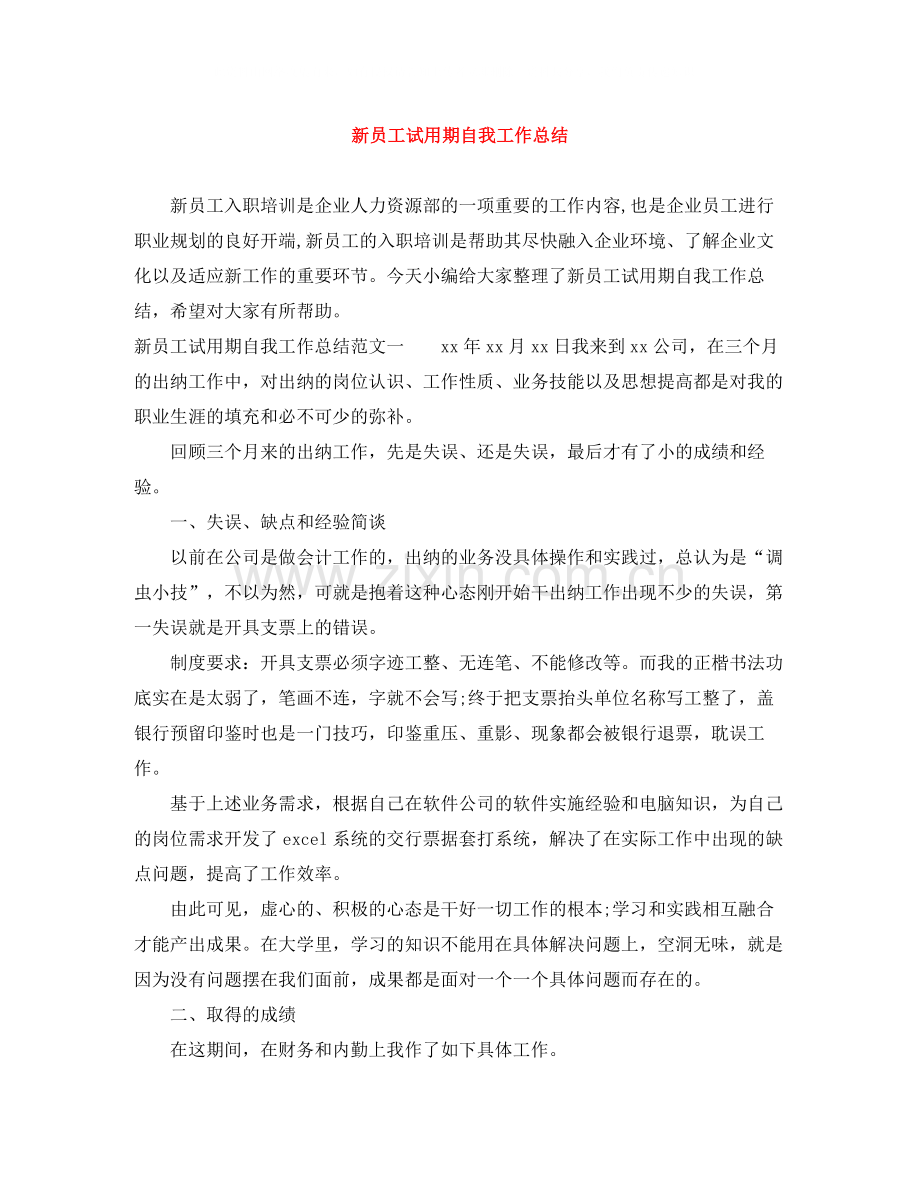 新员工试用期自我工作总结.docx_第1页