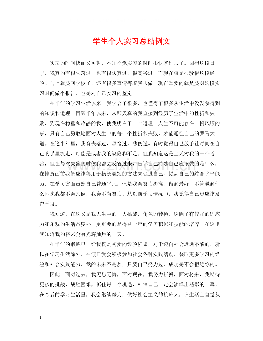 学生个人实习总结例文.docx_第1页