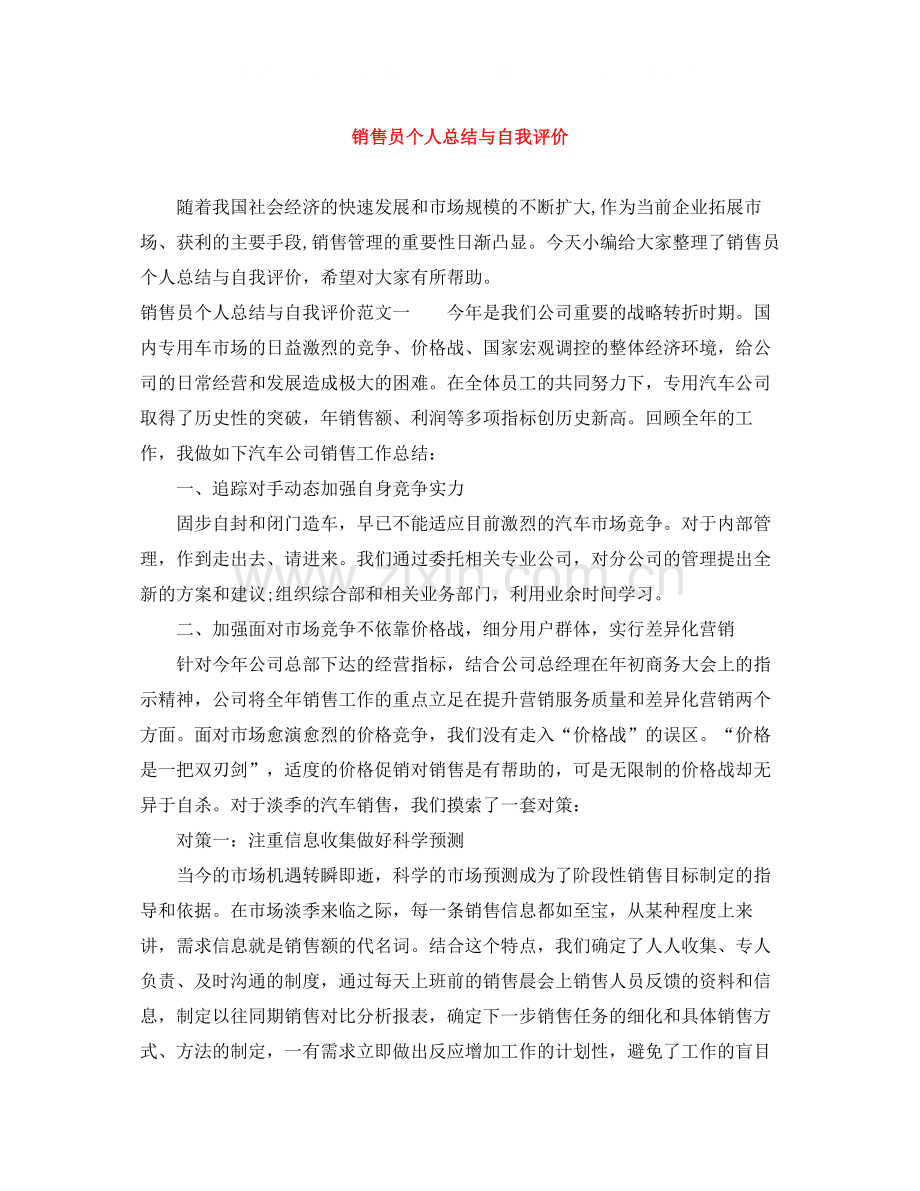 销售员个人总结与自我评价.docx_第1页