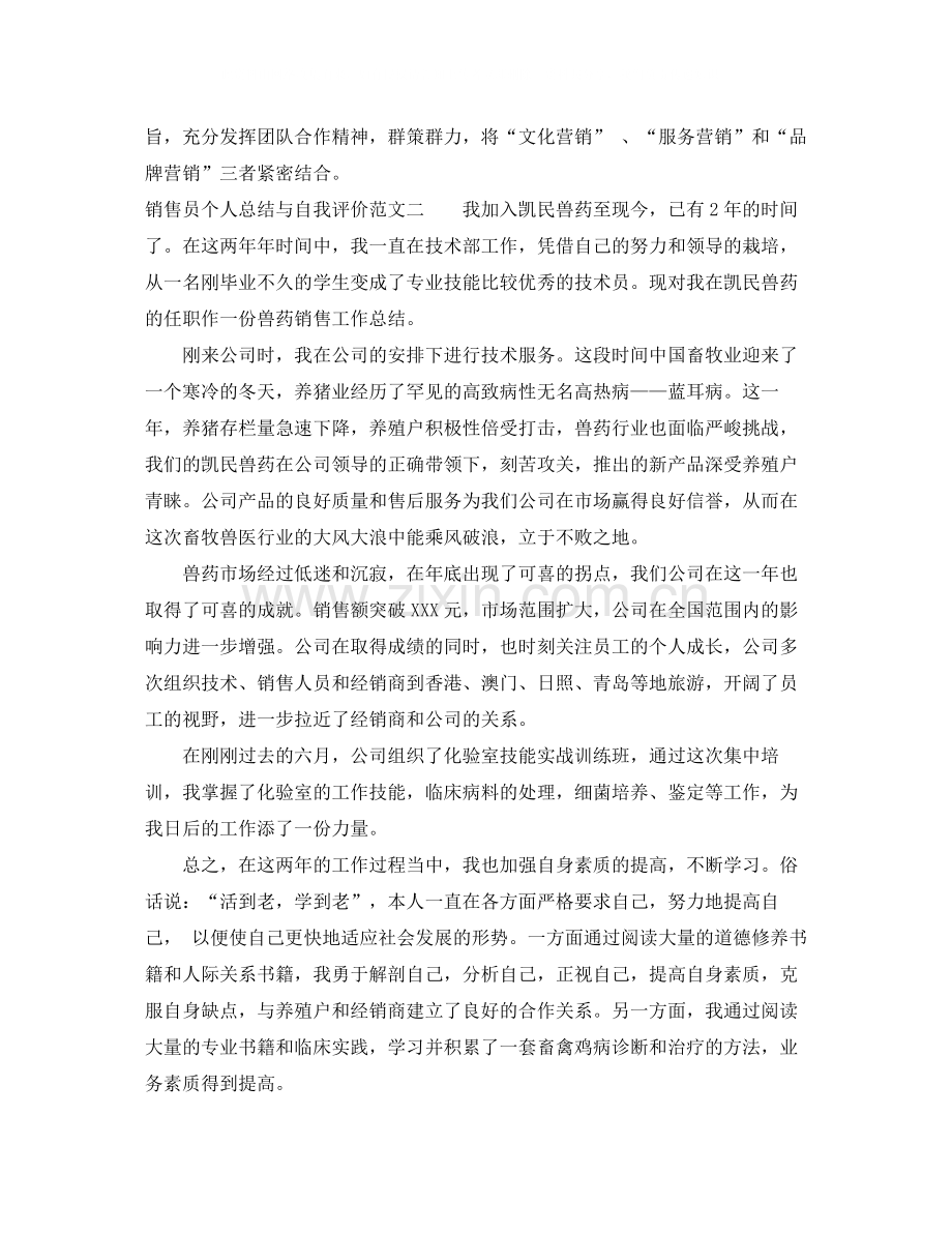 销售员个人总结与自我评价.docx_第3页