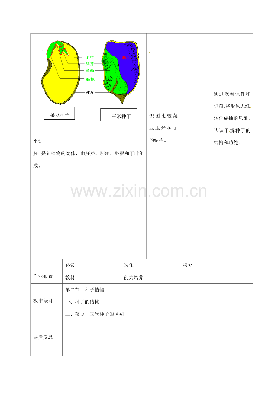 七年级生物上册 3.1.2 种子植物教案1 （新版）新人教版-（新版）新人教版初中七年级上册生物教案.doc_第3页