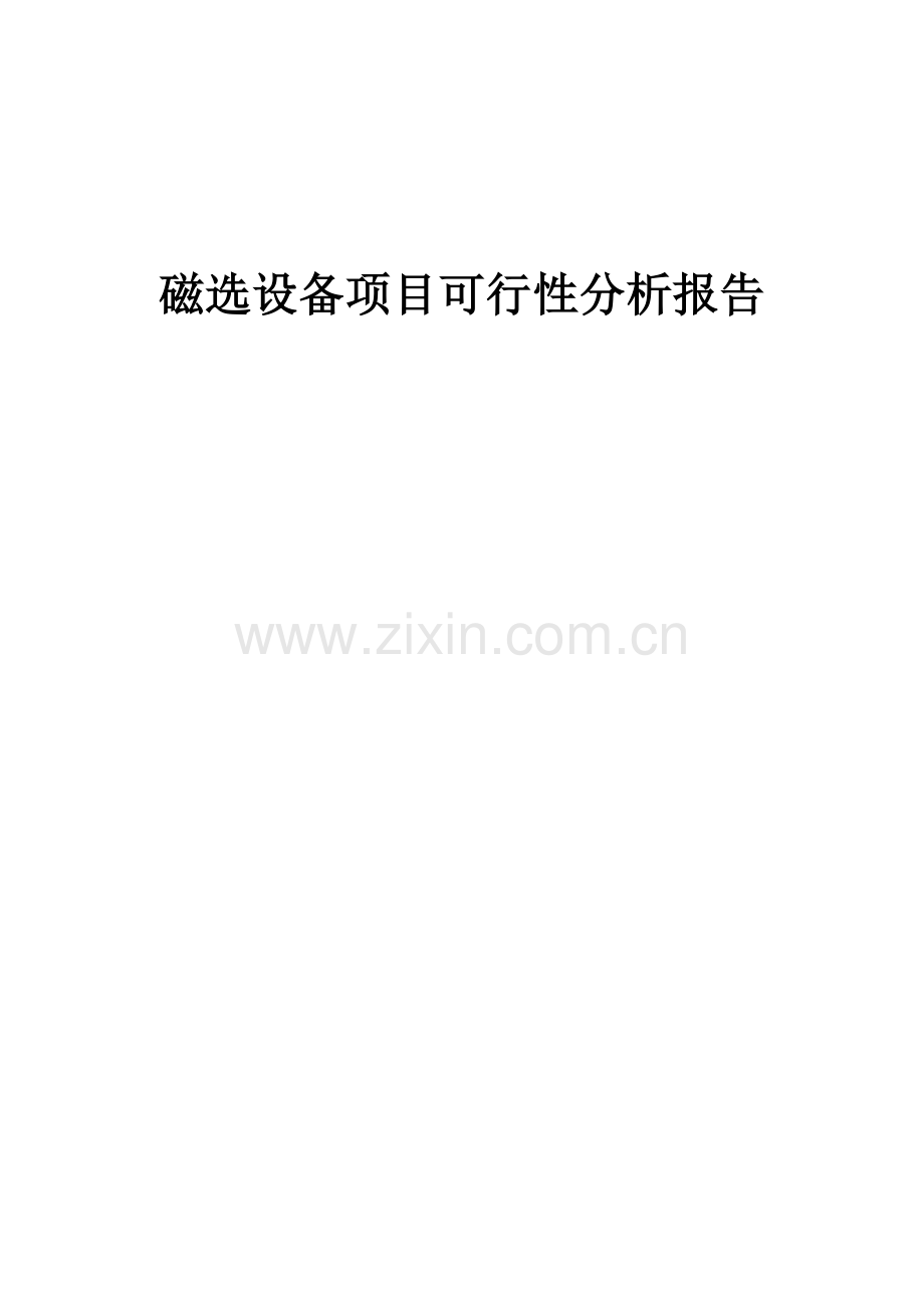 磁选设备项目可行性分析报告.docx_第1页