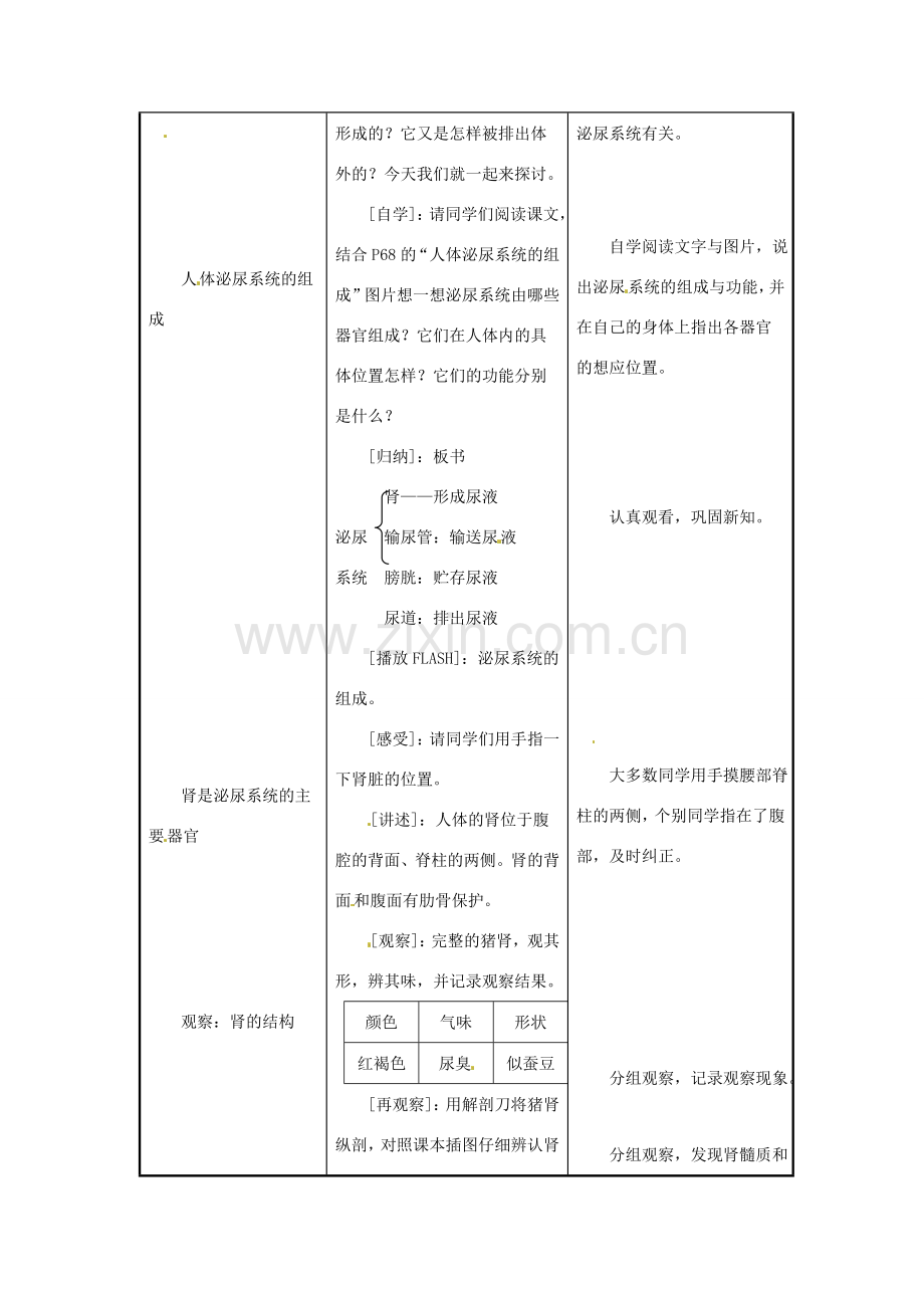 辽宁省辽阳市第九中学七年级生物下册 第十一章 第一节 人体泌尿系统的组成教案 苏教版.doc_第2页