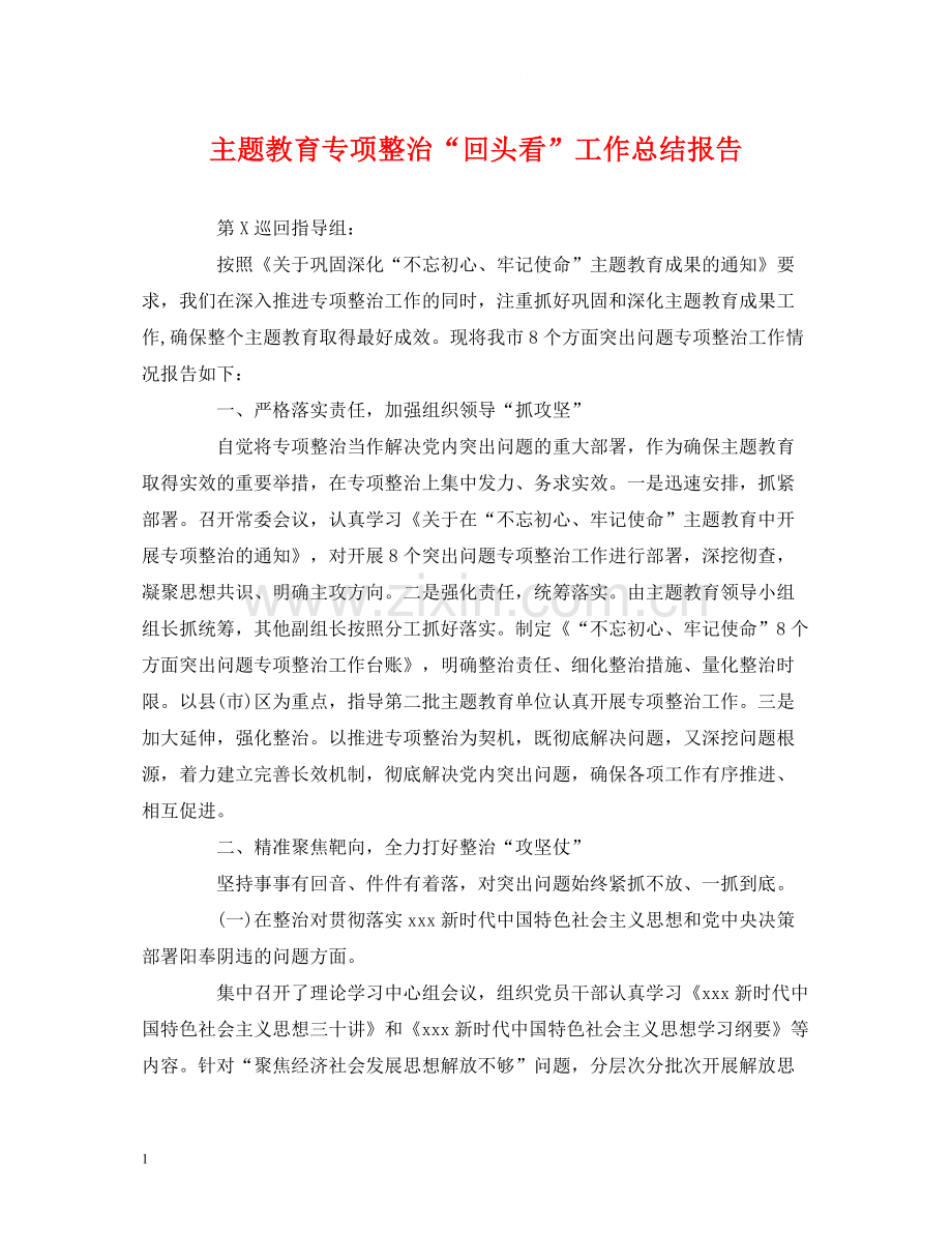 主题教育专项整治回头看工作总结报告.docx_第1页