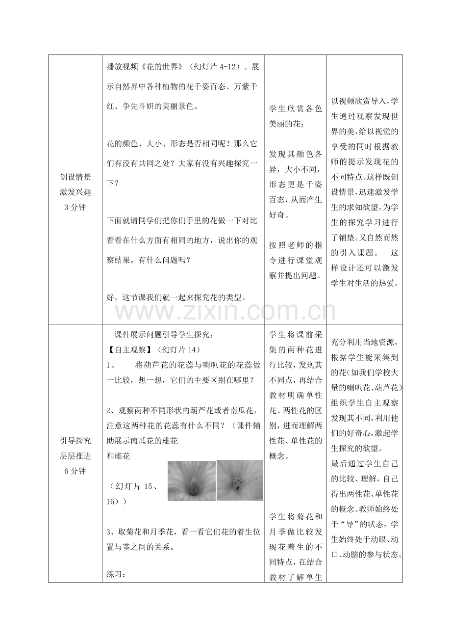 八年级生物上册 花的结构和类型教案 济南版.doc_第2页