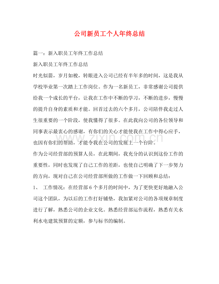 公司新员工个人年终总结 .docx_第1页