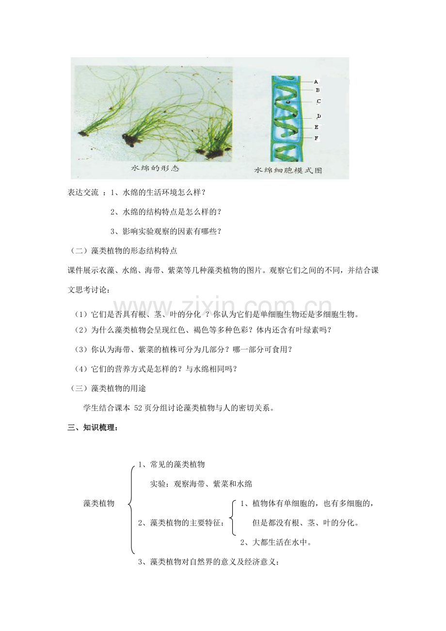 七年级生物上册 二、1、1、1绿色植物主要类群A教案 济南版.doc_第2页