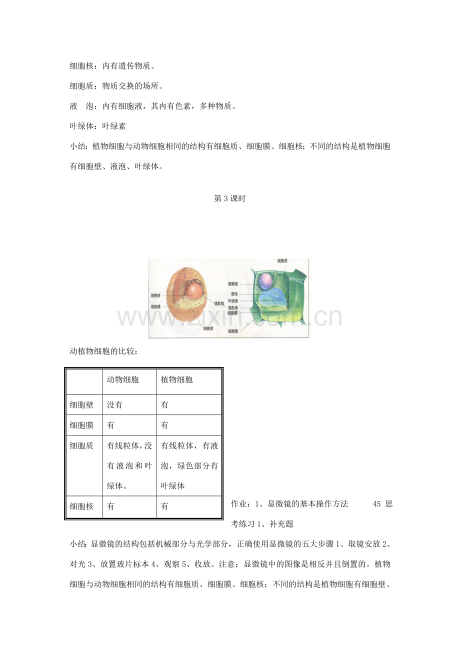 七年级生物上册 第二单元 第三章细胞是生命活动的单位教案 （新版）北师大版-（新版）北师大版初中七年级上册生物教案.doc_第3页