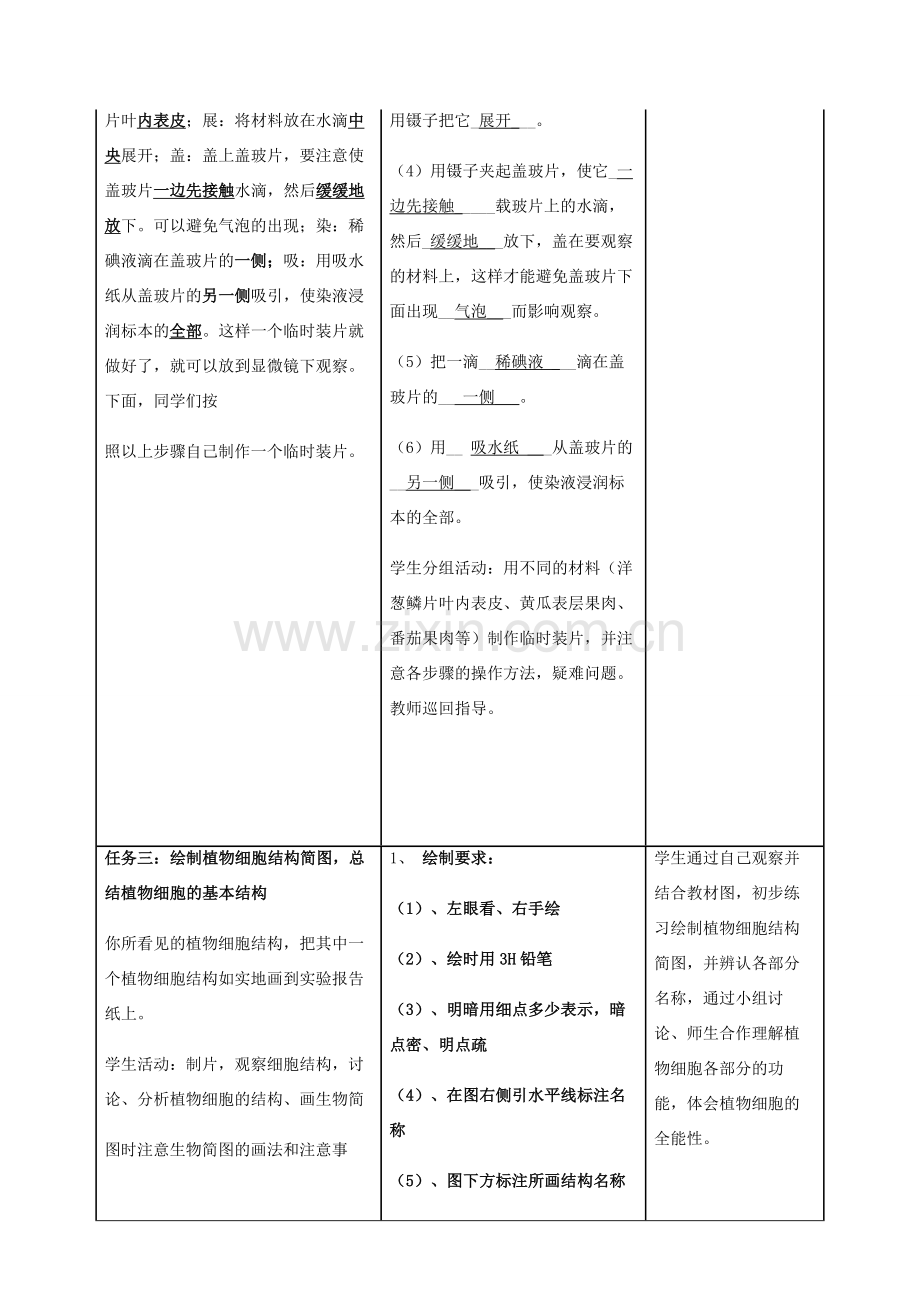 秋七年级生物上册 2.1.2 植物细胞教案 （新版）新人教版-（新版）新人教版初中七年级上册生物教案.doc_第3页