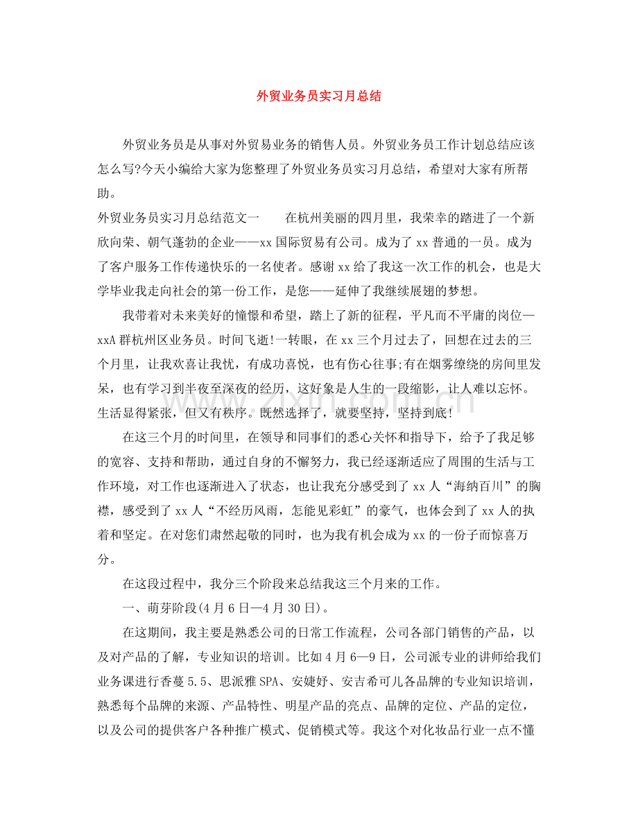 外贸业务员实习月总结.docx_第1页