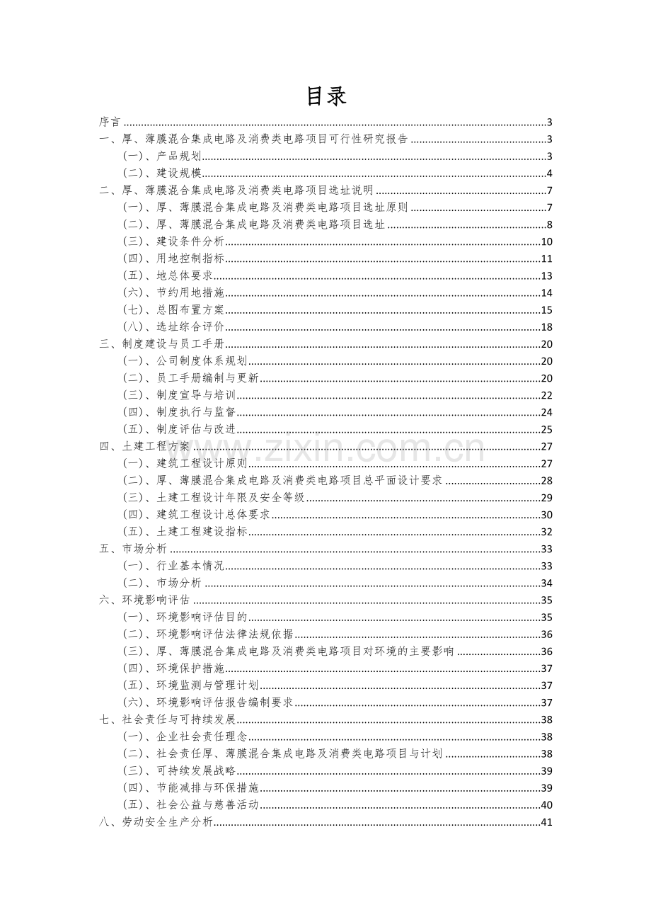 厚、薄膜混合集成电路及消费类电路项目可行性分析报告.docx_第2页