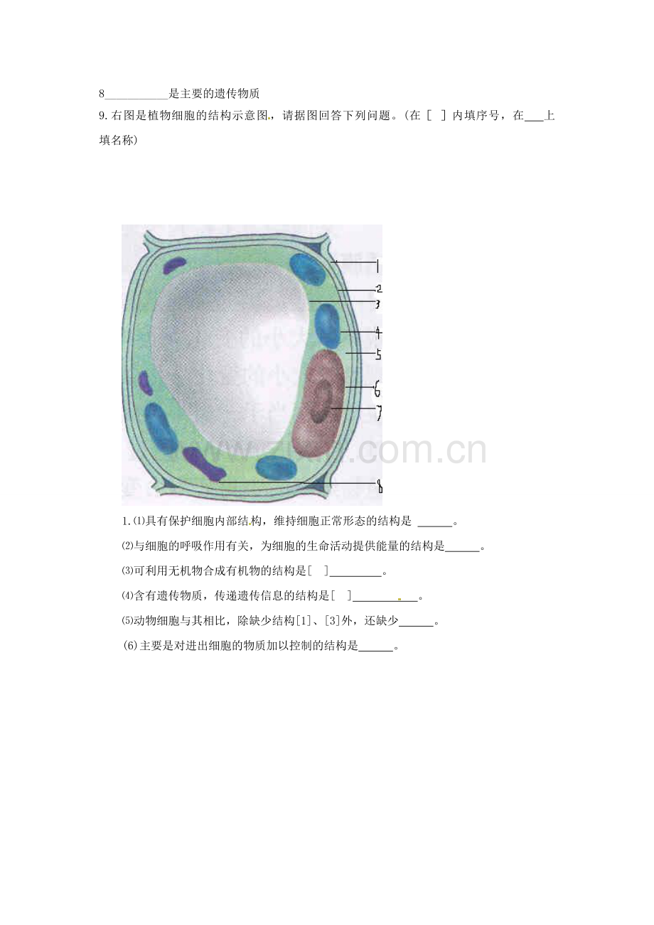 生物：第3章细胞是生命活动的基本单位复习教案（苏教版七年级上）.doc_第3页