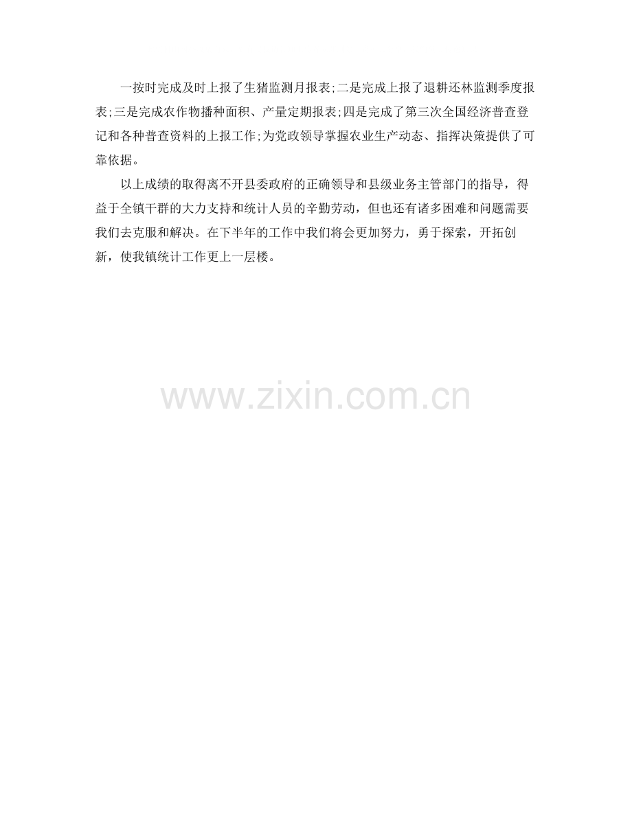 乡镇统计个人工作总结900字.docx_第2页