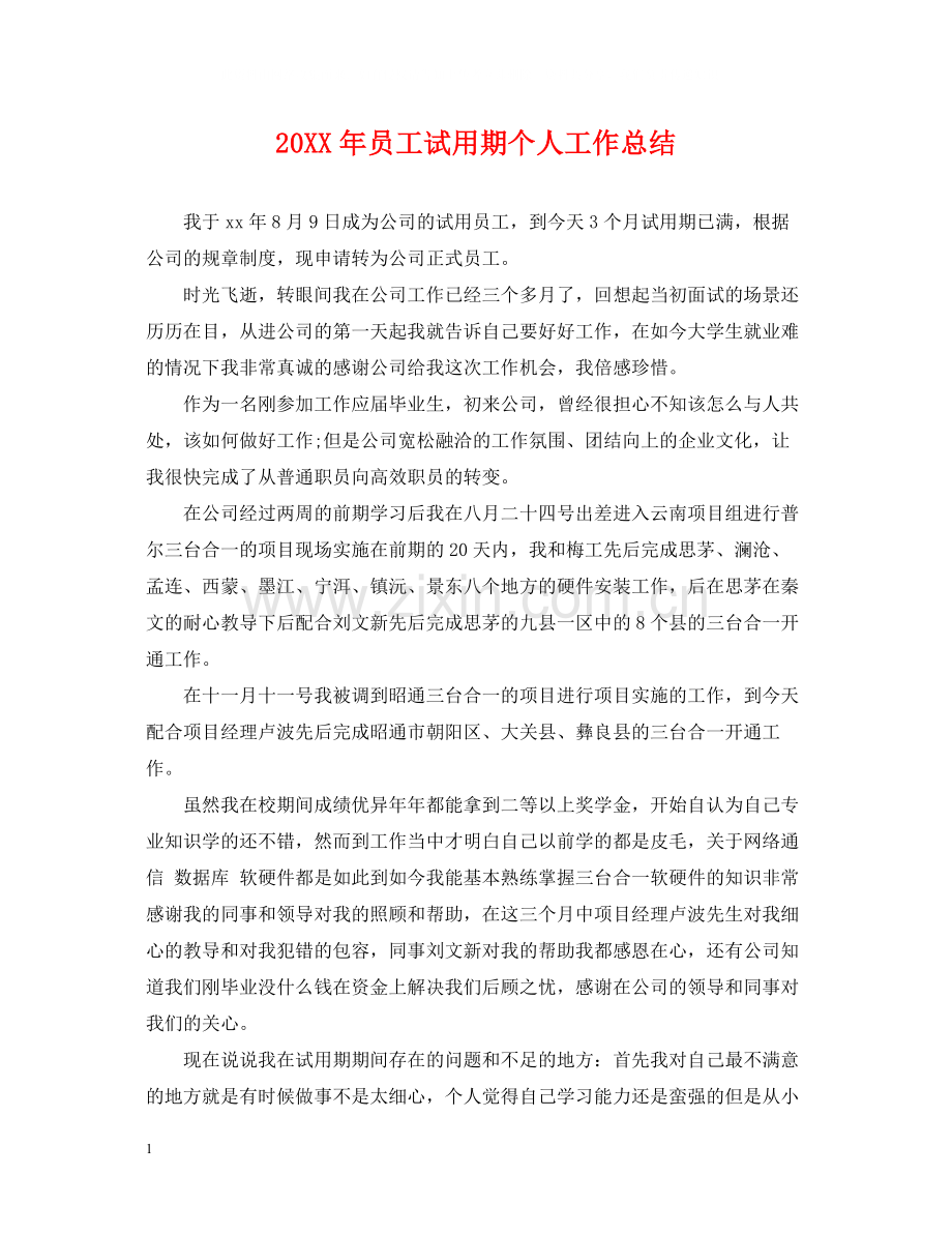 员工试用期个人工作总结.docx_第1页