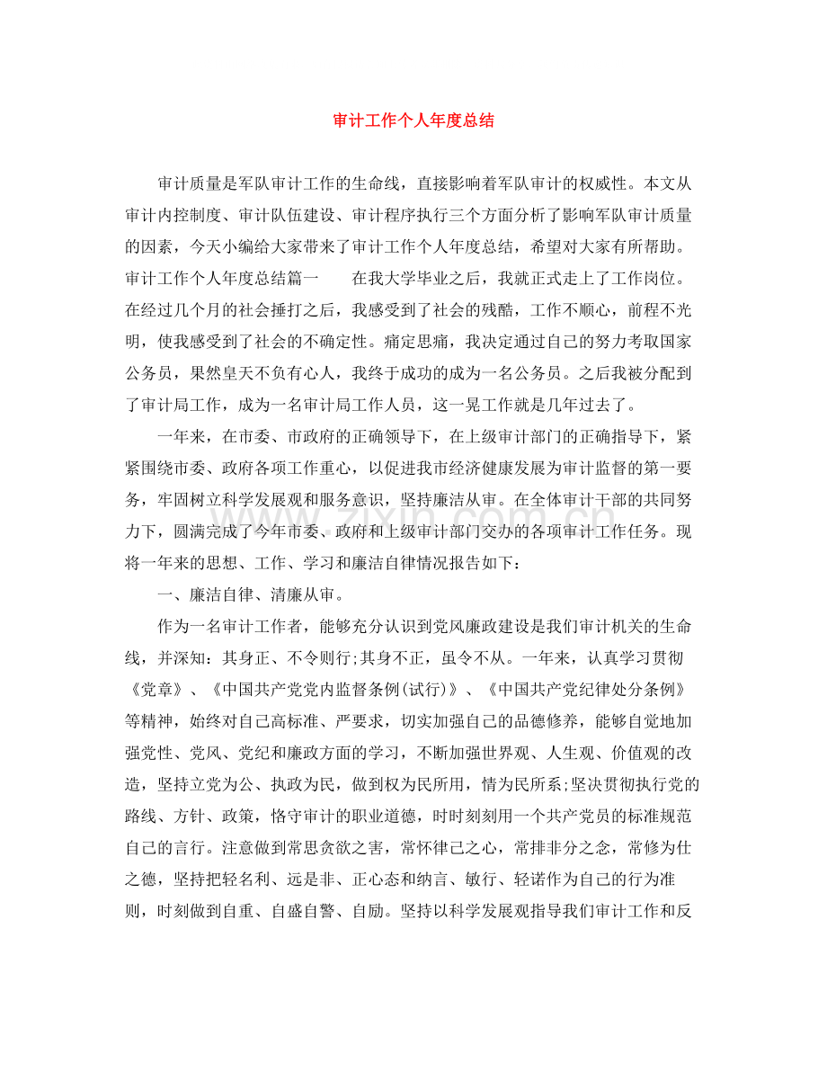 审计工作个人年度总结.docx_第1页