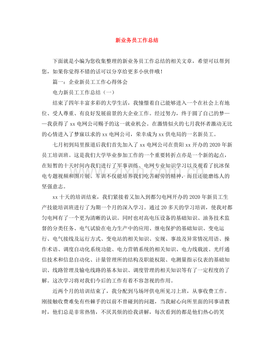 新业务员工作总结.docx_第1页