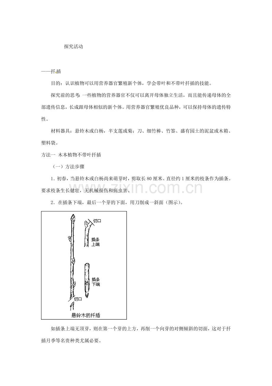 河南省濮阳市南乐县张果屯乡中学八年级生物下册 第七单元 第一章 第一节 植物的生殖教案 新人教版.doc_第3页