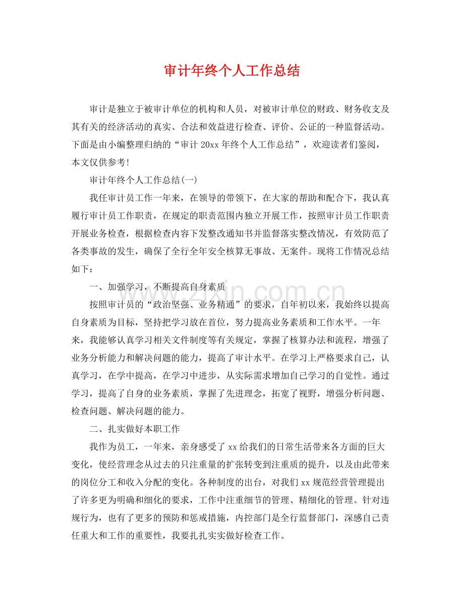 审计年终个人工作总结 .docx_第1页