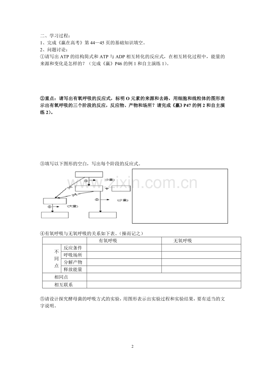 细胞能量供应及利用.doc_第2页