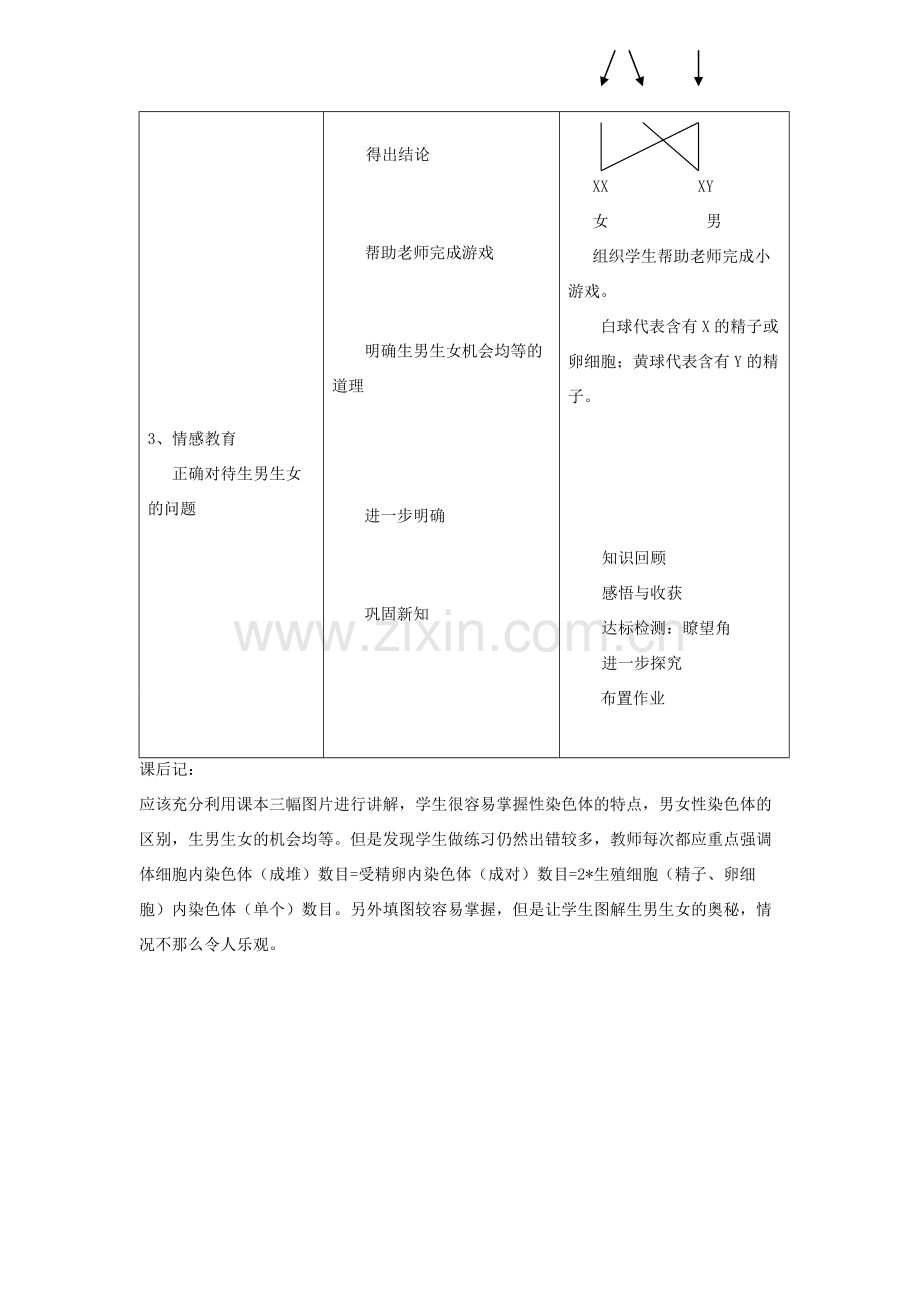 八年级生物下册 第七单元 生物圈中生命的延续和发展 第二章 生物的遗传和变异 第四节 人的性别遗传教案3（新版）新人教版-（新版）新人教版初中八年级下册生物教案.doc_第2页