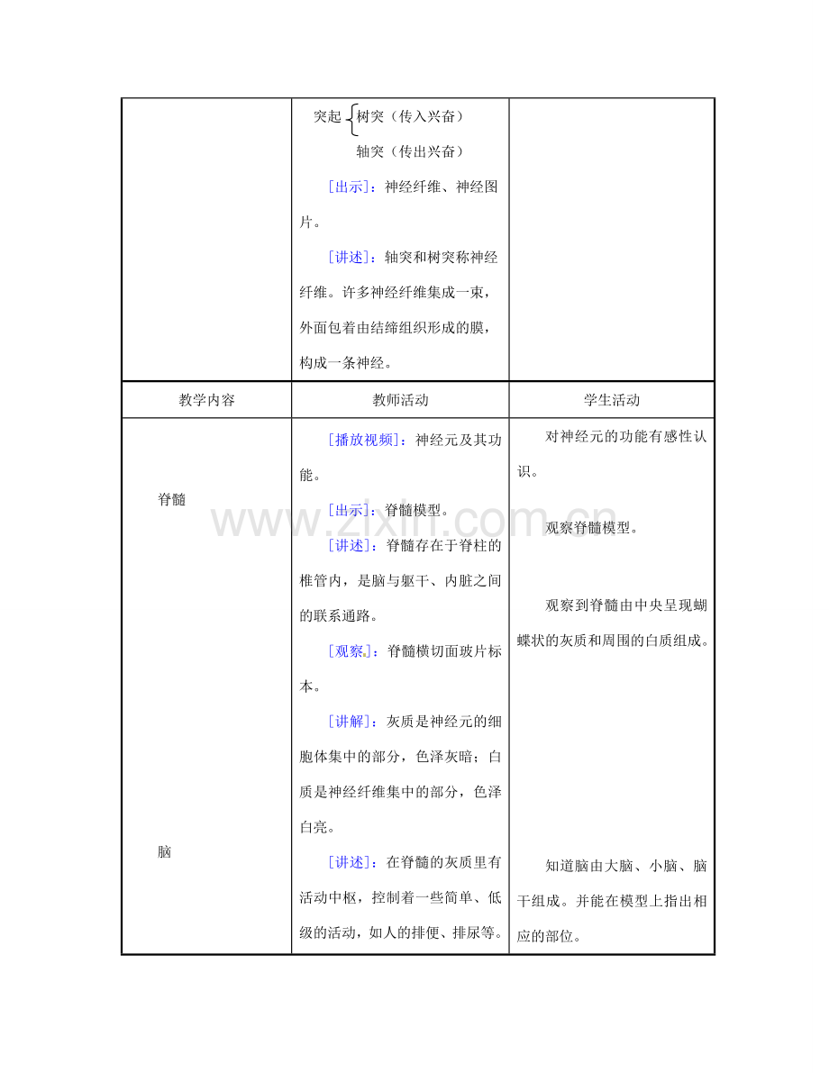 江苏省东台市唐洋镇中学七年级生物下册《12.2 神经调节》教案 苏教版.doc_第3页