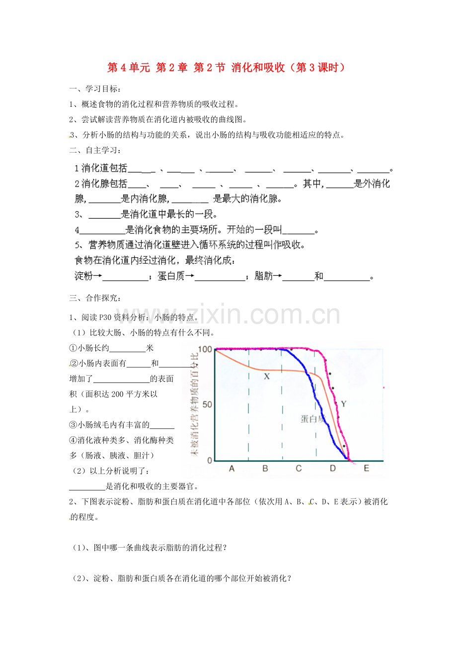 七年级生物下册 第四单元 第二章《人体的营养》第二节《消化和吸收》（第3课时）导学案 （新版）新人教版.doc_第1页