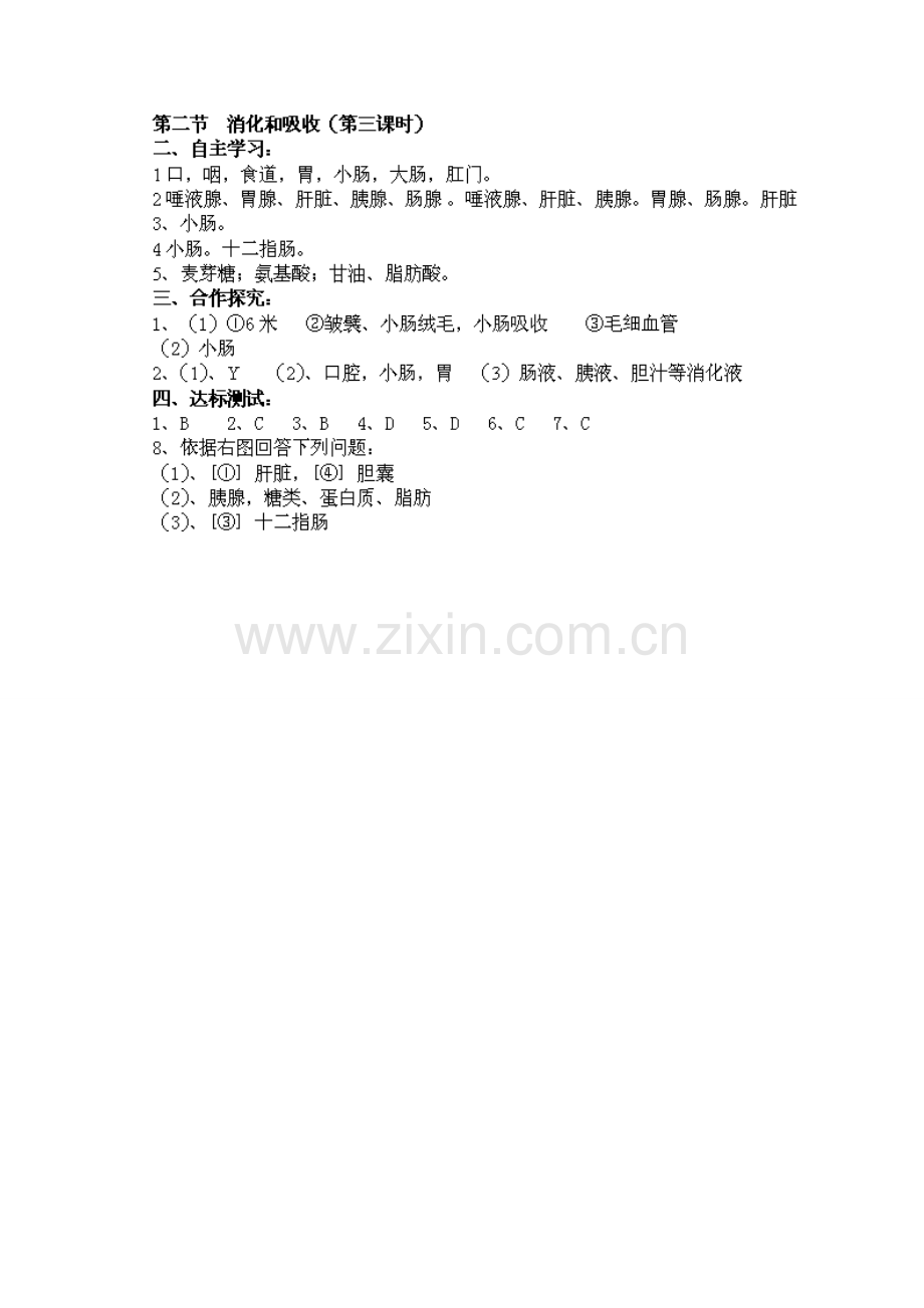 七年级生物下册 第四单元 第二章《人体的营养》第二节《消化和吸收》（第3课时）导学案 （新版）新人教版.doc_第3页