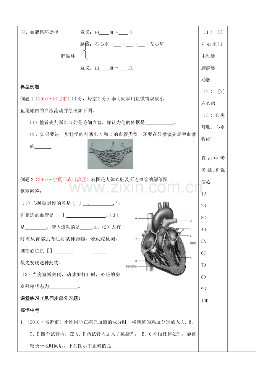 山东省郯城县第三初级中学中考生物《人体内物质的运输》复习教案 新人教版.doc_第3页