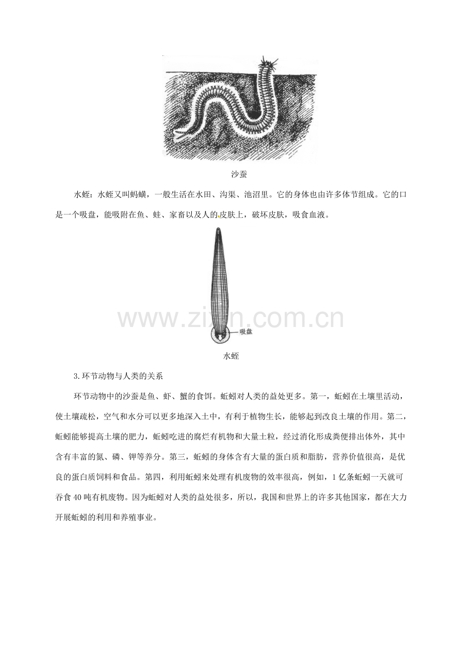 八年级生物上册 第一章 第二节 线形动物和环节动物备课资料 （新版）新人教版-（新版）新人教版初中八年级上册生物教案.doc_第3页