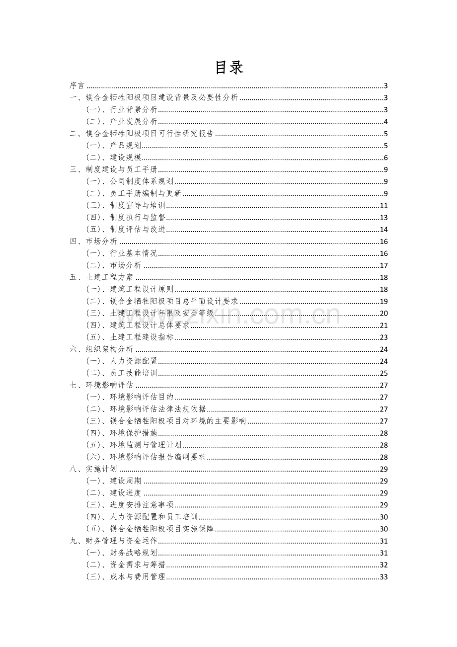 镁合金牺牲阳极项目可行性分析报告.docx_第2页