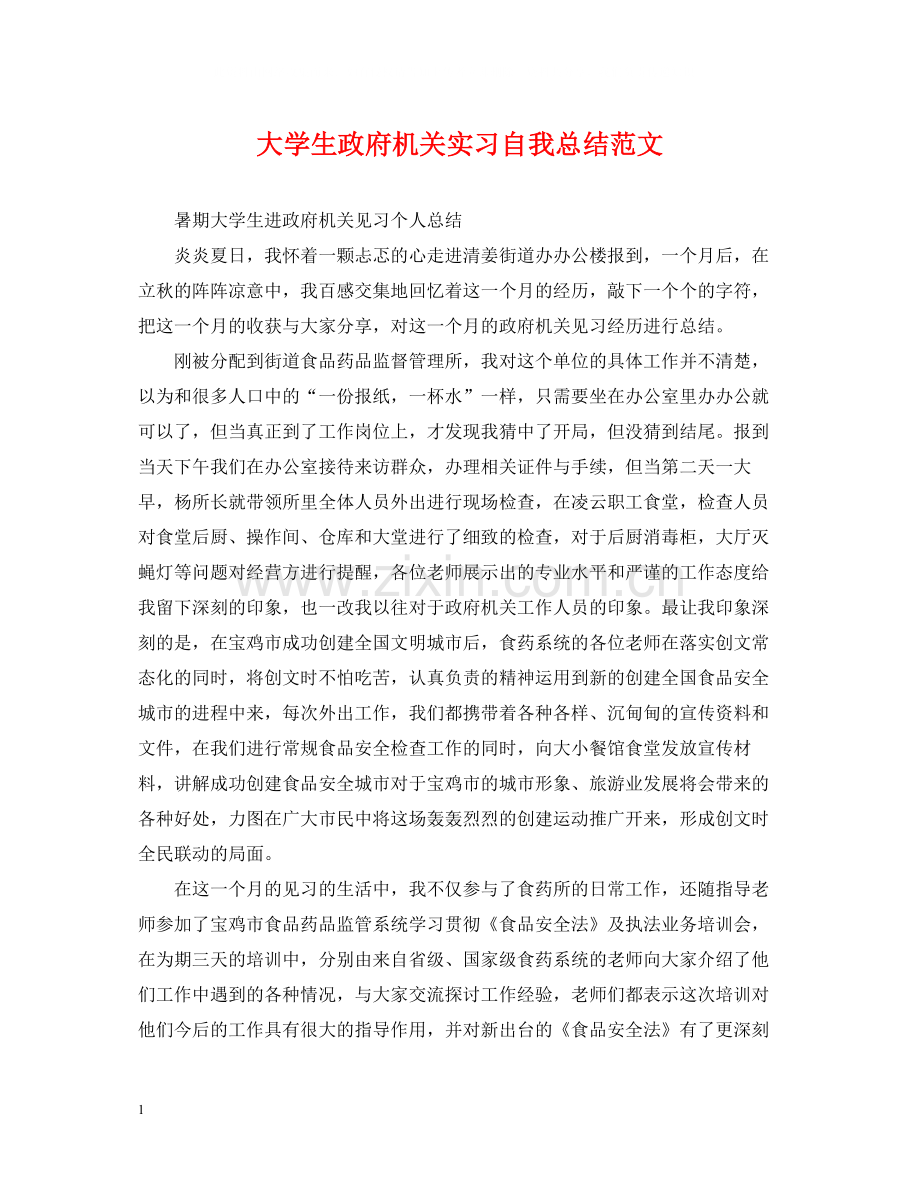 大学生政府机关实习自我总结范文.docx_第1页