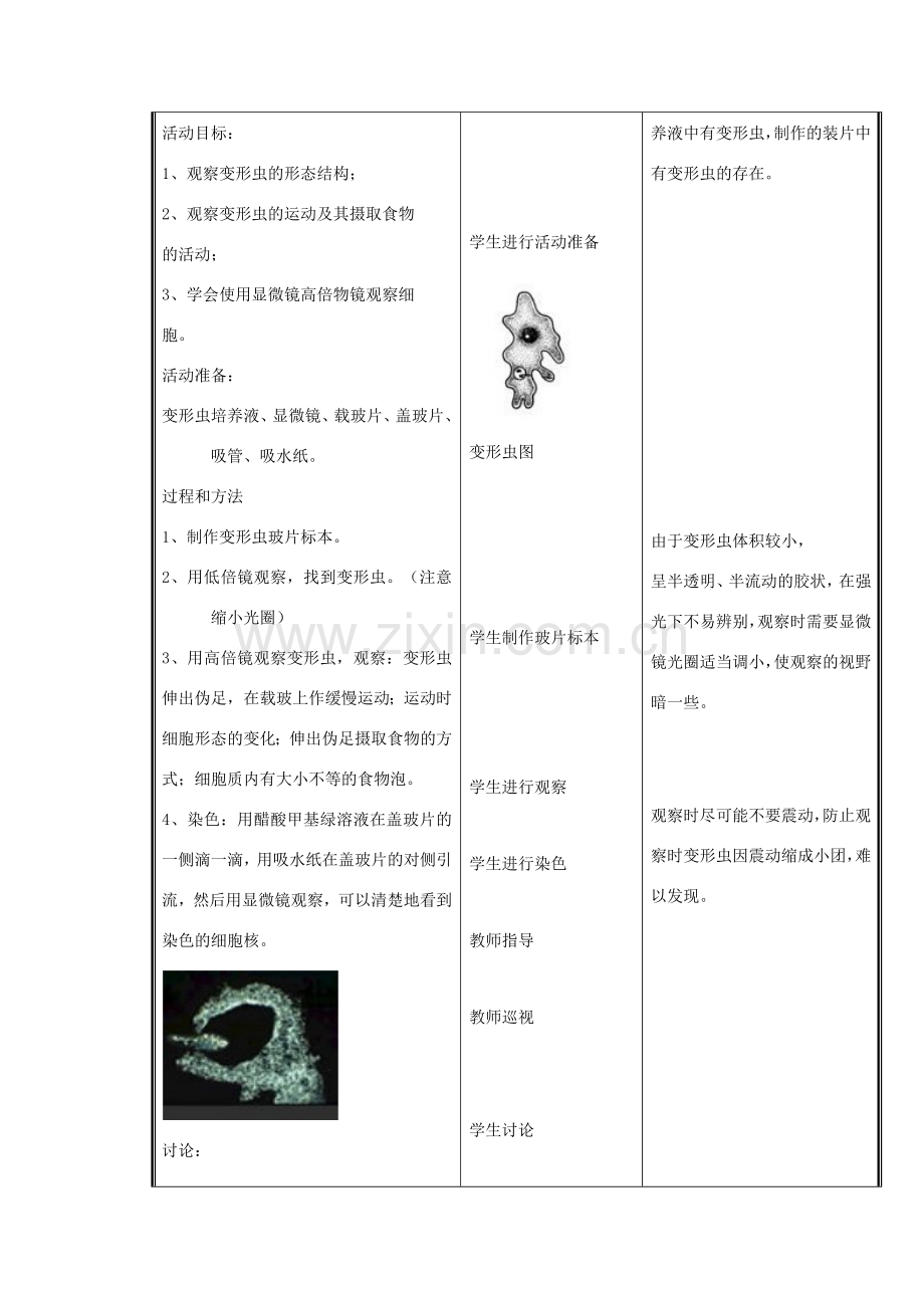 七年级生物上册 第2单元 第3章 第2节 细胞是生命活动的单位教案 （新版）北师大版-（新版）北师大版初中七年级上册生物教案.doc_第2页