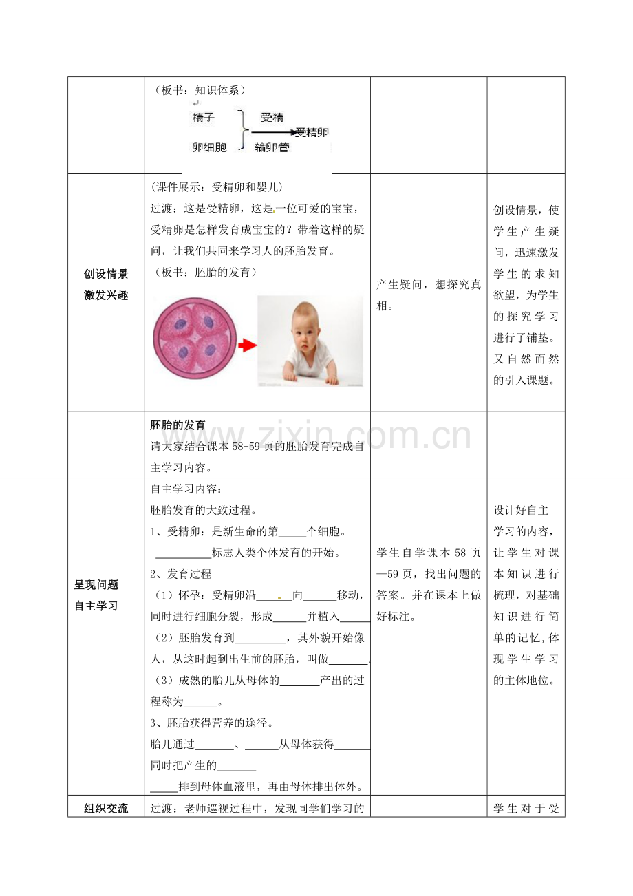八年级生物上册 第4单元 第3章 第1节 婴儿的诞生教案 （新版）济南版.doc_第2页