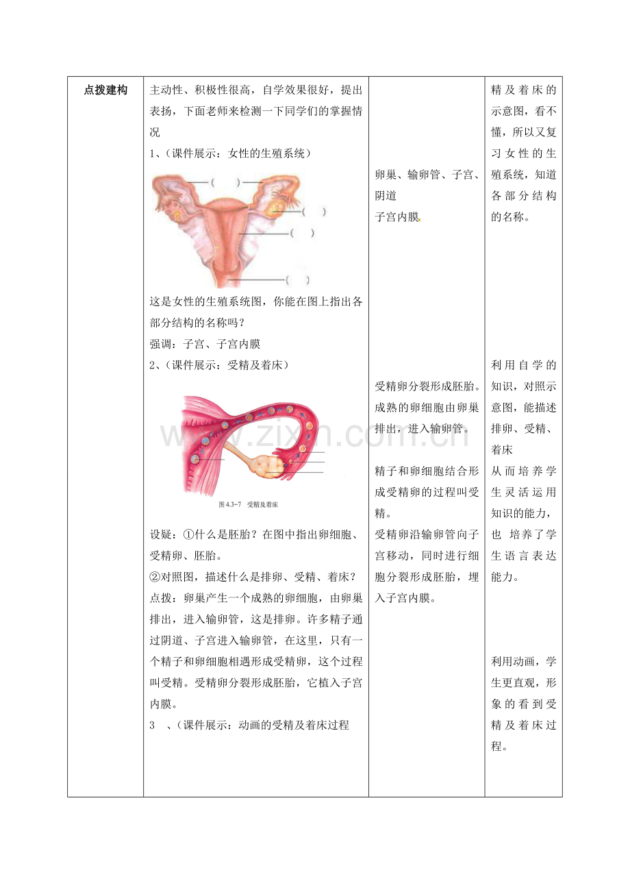 八年级生物上册 第4单元 第3章 第1节 婴儿的诞生教案 （新版）济南版.doc_第3页