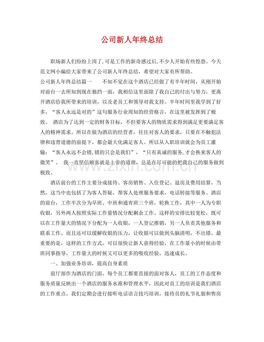 公司新人年终总结 .docx_第1页